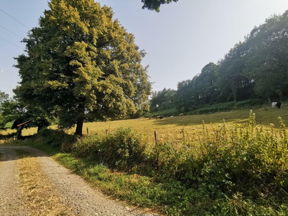 Domaine Lvd Avec Spa, Bois Et Riviere Privee La Bloutiere Exterior photo